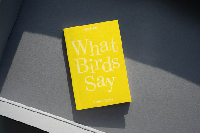 What Birds Say
