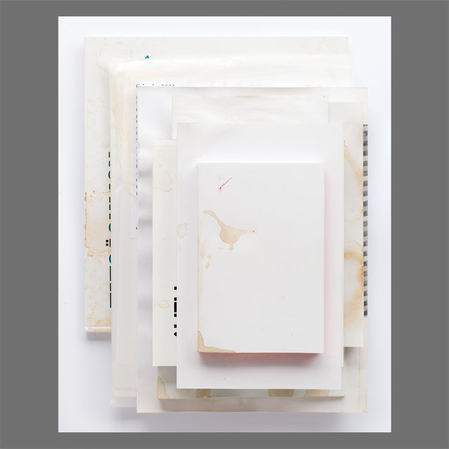 Sveinn Fannar Jóhannsson