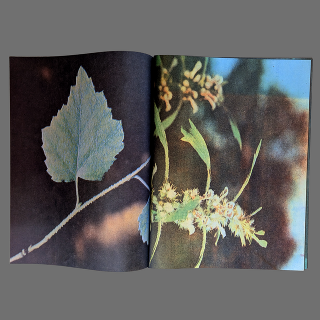 dead pages no. 1 herbs