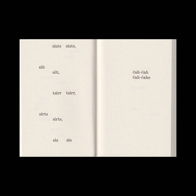 What Birds Say