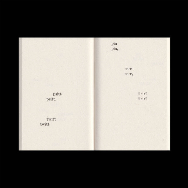 What Birds Say