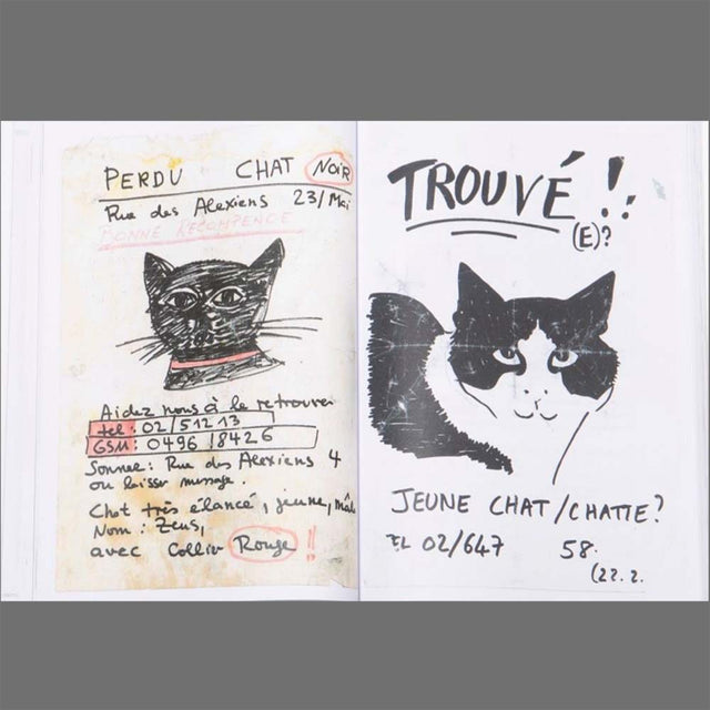 Please Look in the Basement