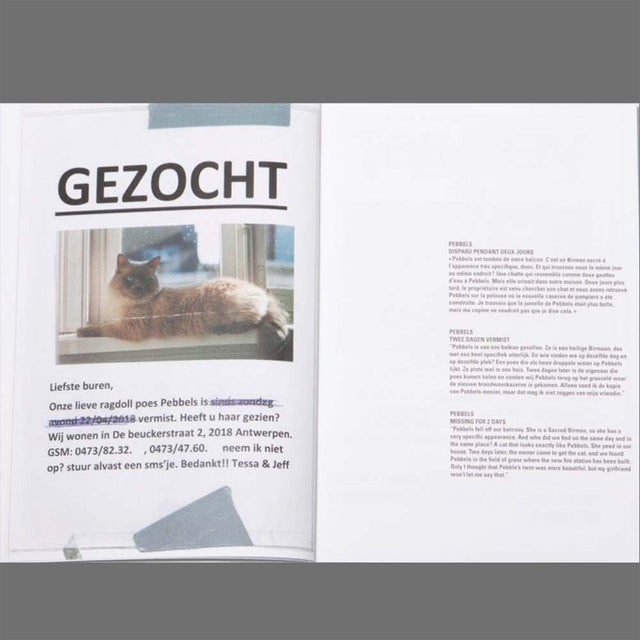 Please Look in the Basement