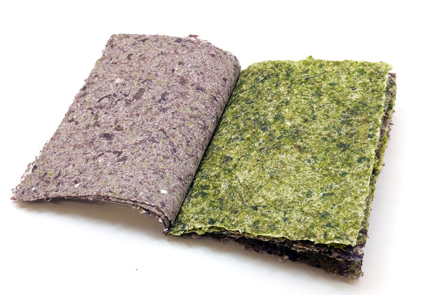 Algae Paper from Finistère