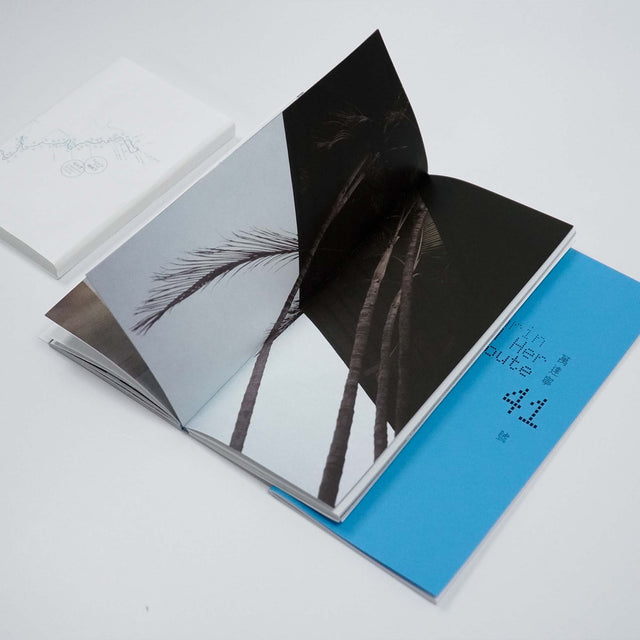 Mandarin and her Route 41