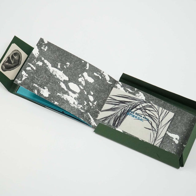 The Dance of the Dancing Plant