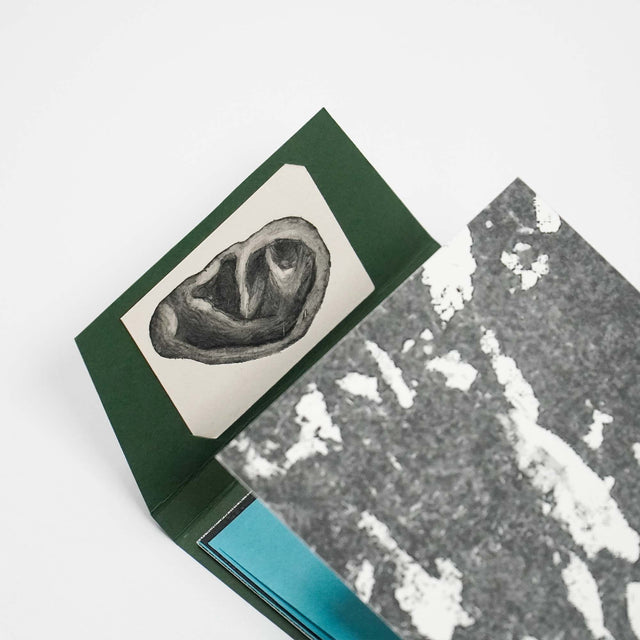 The Dance of the Dancing Plant