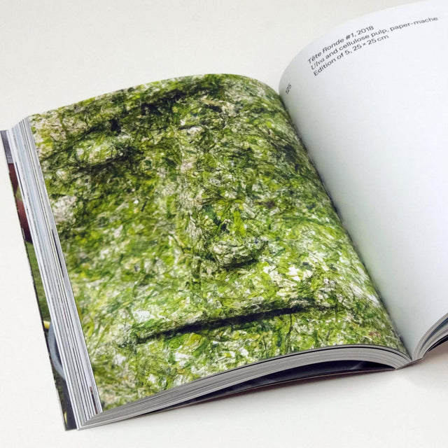 The Algae Paper