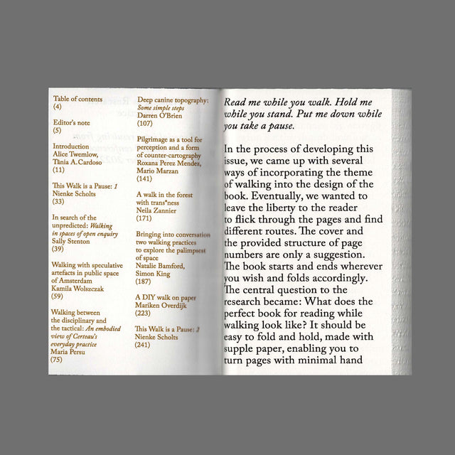 Walking as Research Practice