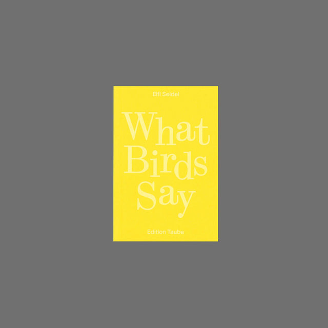 What Birds Say