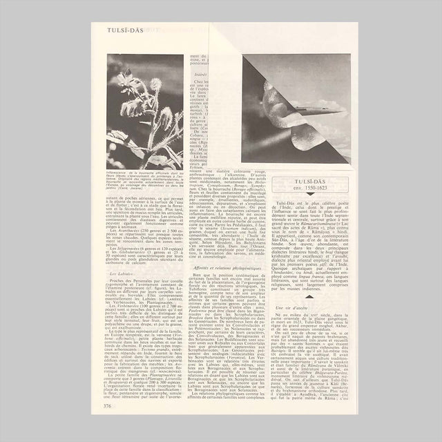 Cavafy / Cortazar <Pages>