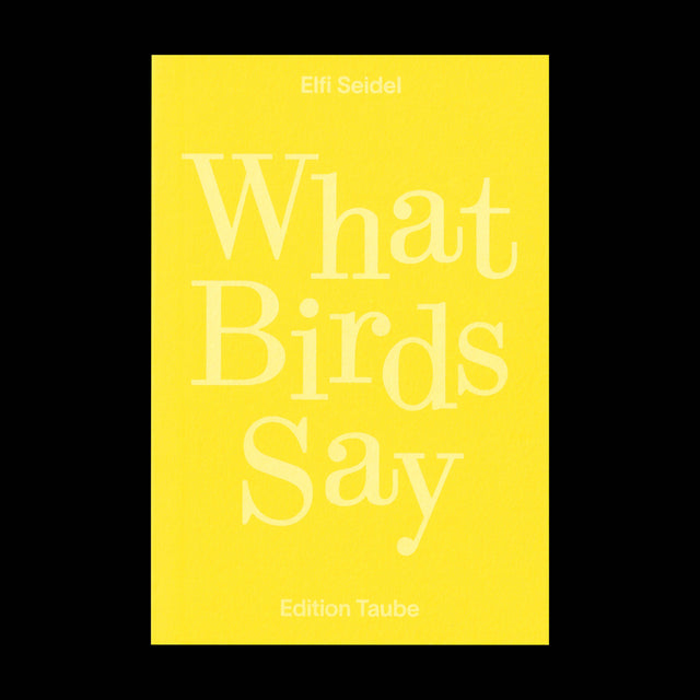 What Birds Say