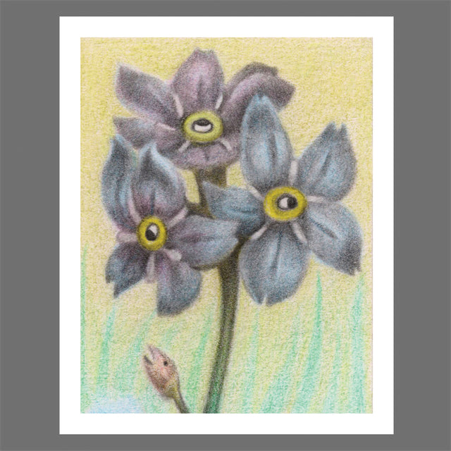 Esther Samuels-Davis