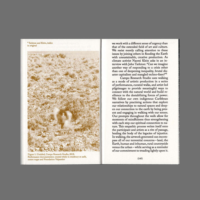 Walking as Research Practice