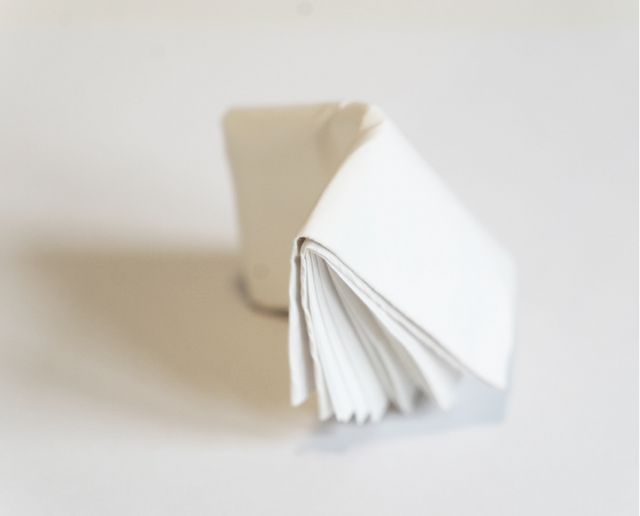 Paper sculptures / Performance for the book, 2021